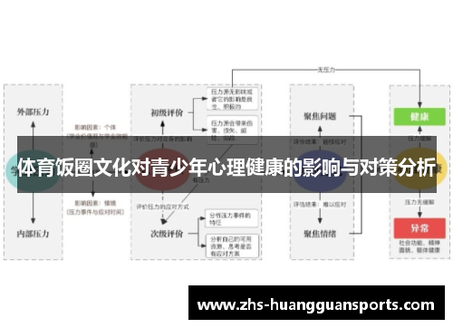 体育饭圈文化对青少年心理健康的影响与对策分析 体育饭圈文化对青少年心理健康的影响与对策分析